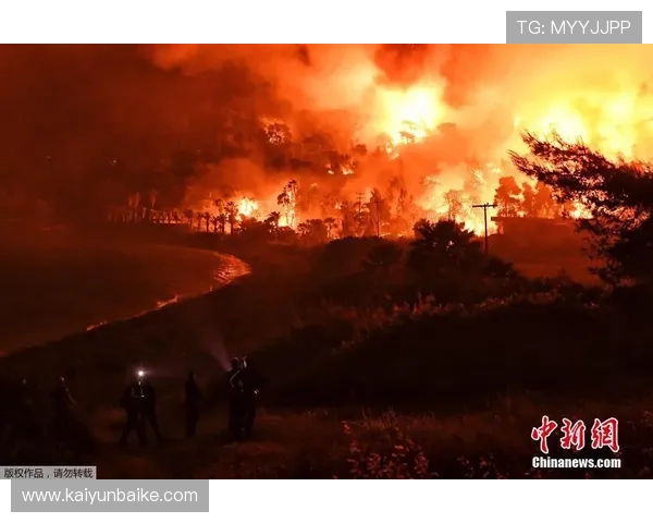 开云体育官方微信为玩家提供最新赛事资讯和独家优惠活动的详细指南